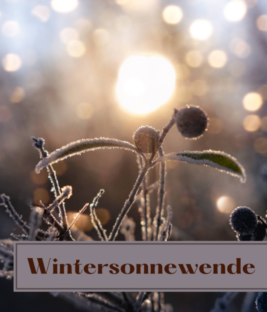 wintersonnenwende.jpg